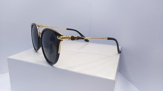 Polarized-6